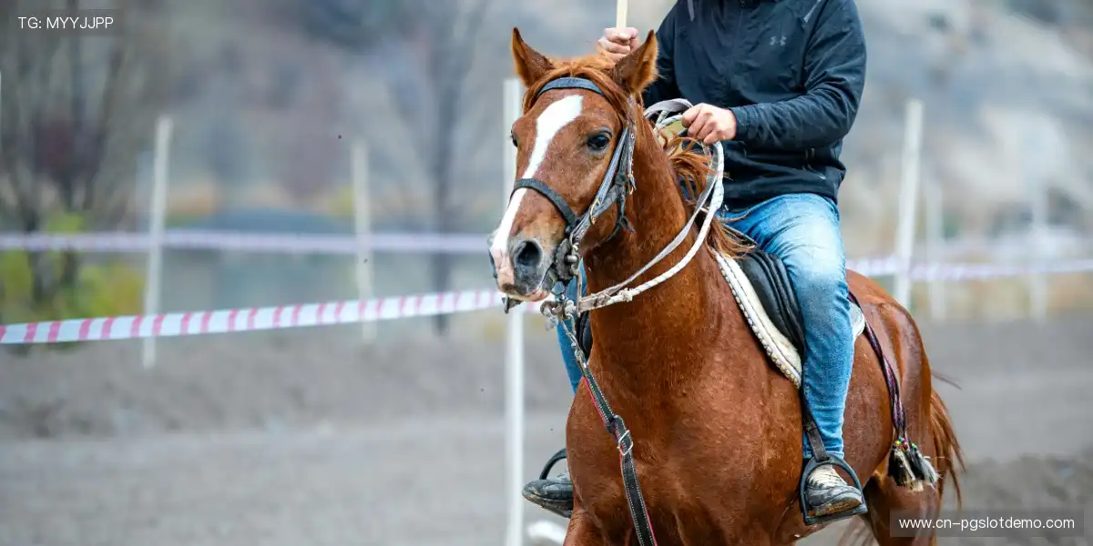 📸 定格英雄封神瞬间，让热爱成为永恒，历史瞬间由你定格！💎